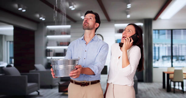 Best Basement Water Damage Restoration in Webster City, IA